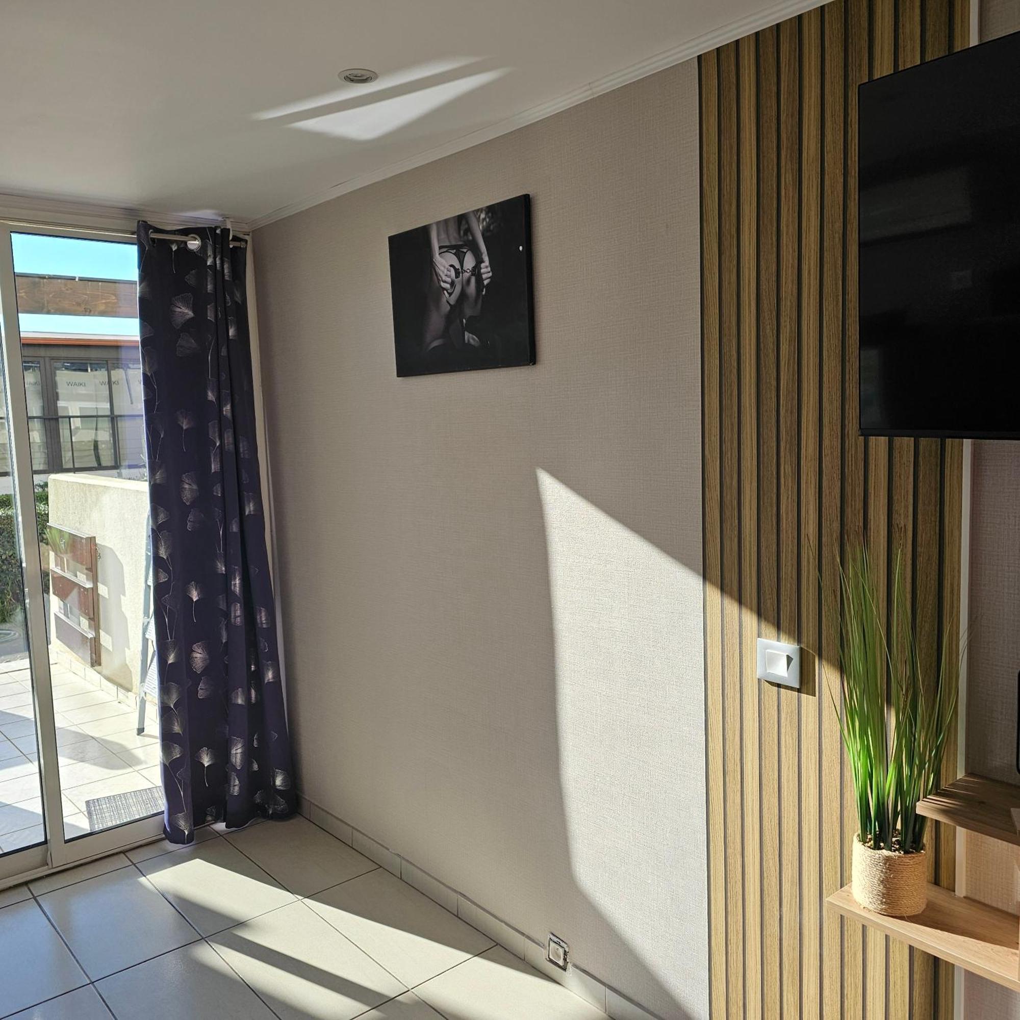 Naturiste Port Nature Apartment Agde